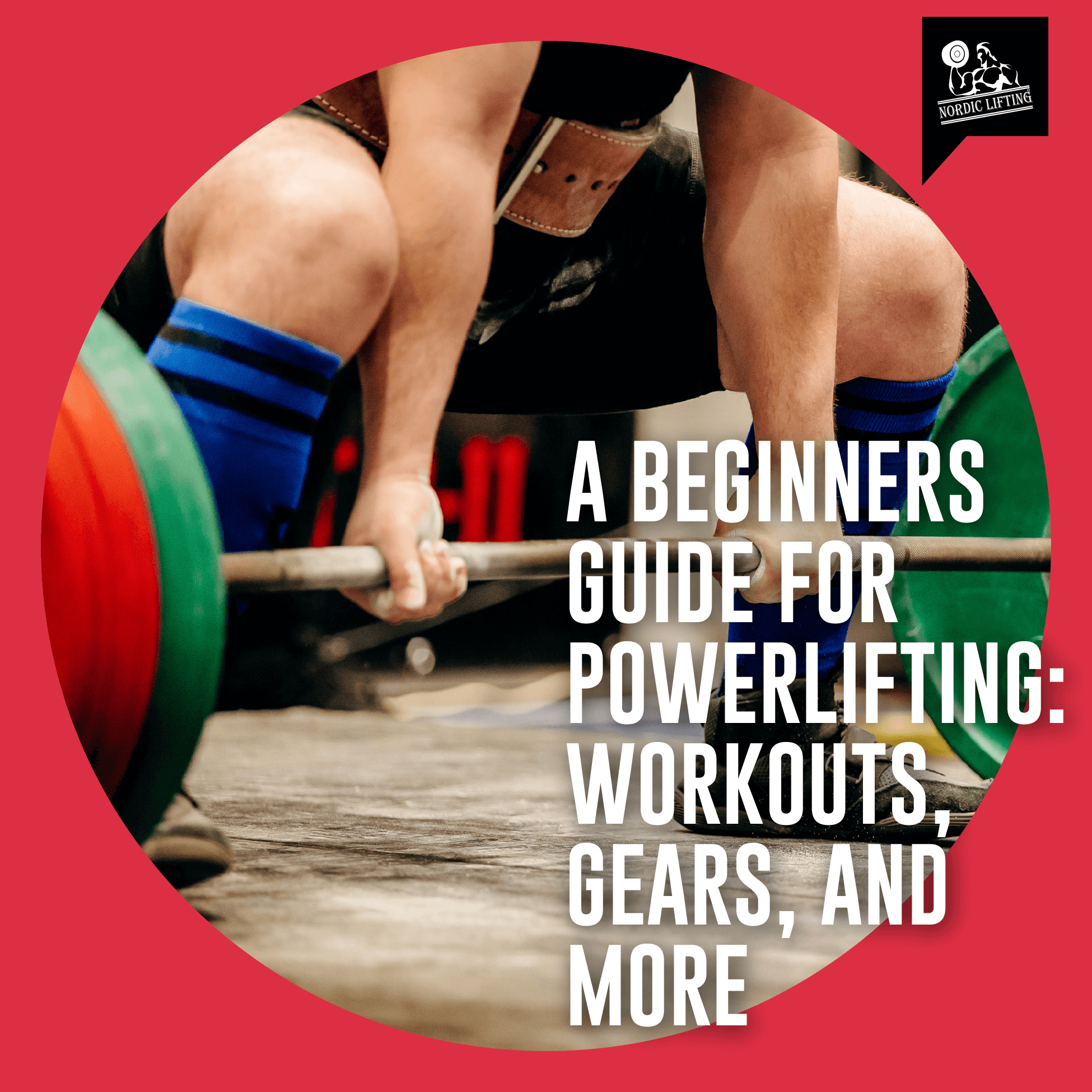 Beginners guide to powerlifting hotsell