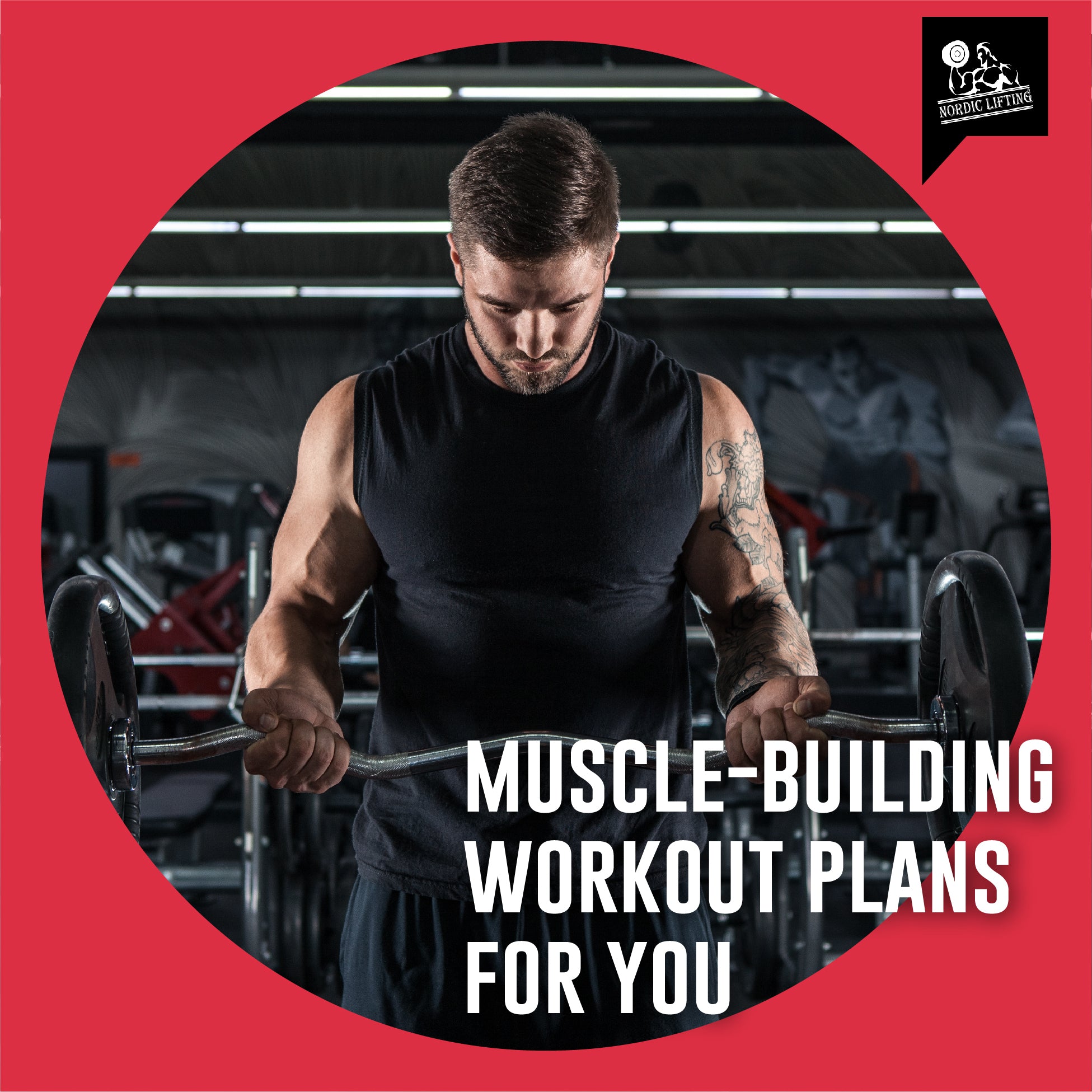 Muscle-Building Workout Plans For You – Nordic Lifting